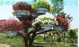 山东潍坊园林工具厂家最新报价与产品信息全解析