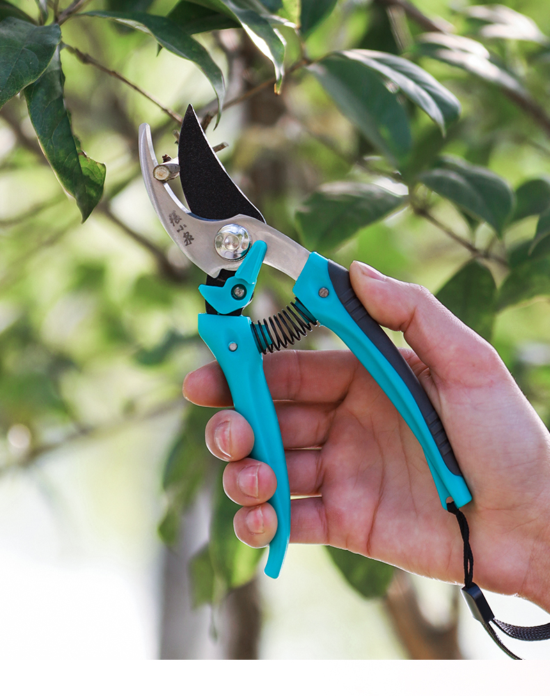 张小泉剪枝剪刀 园艺修剪的得力神器