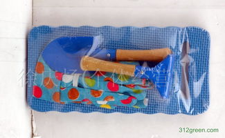 为孩子选择安全又实用的园林工具指南